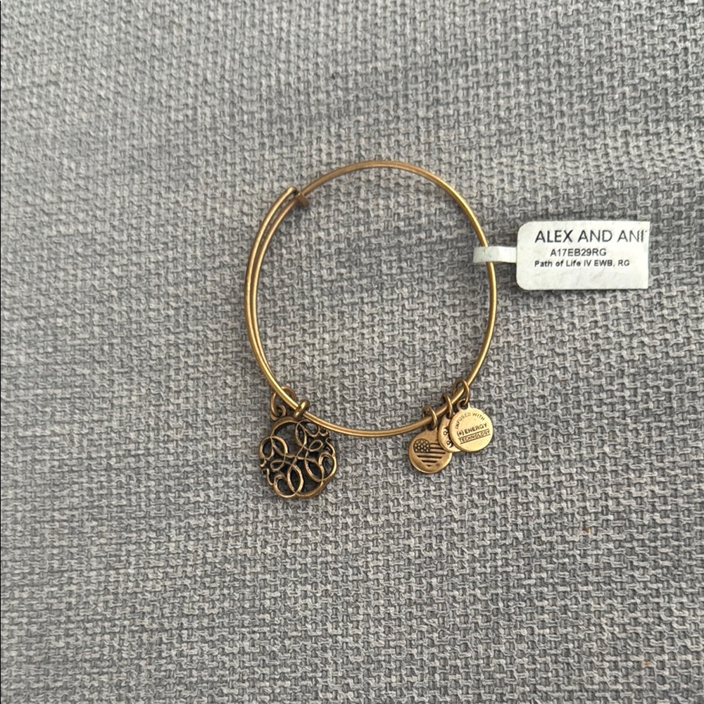 Alex and Ani Path of Life Bracelet